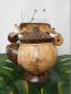 Preview: Coconut Shell Teapot with Rope Handle