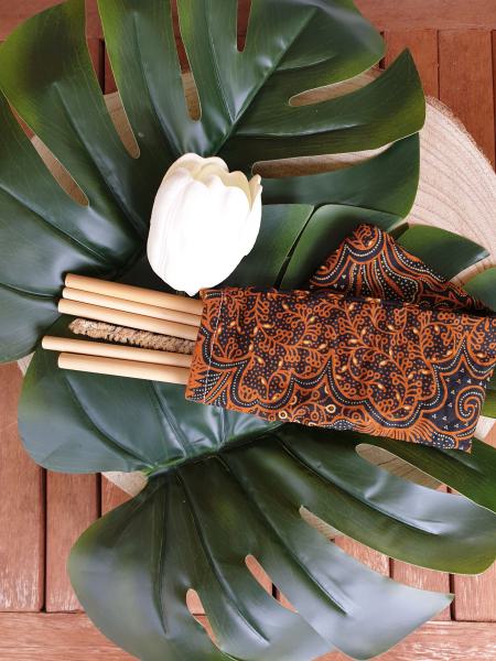 Bamboo Drinking Straws Set